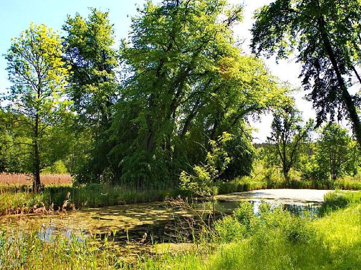 Palac Kursko Extérieur photo